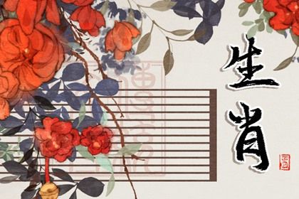 2023年屬什麼生肖年 2023年屬兔人的命運分析