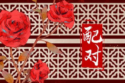 生肖兔幾月份出生的人最好命 屬兔最好的出生時辰分析