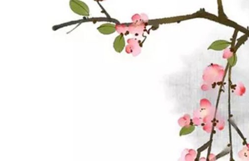 能嫁貴夫的女人面相 鼻子適中圓潤能嫁有福之人