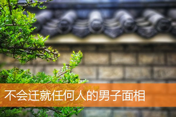 不會遷就任何人的男子面相