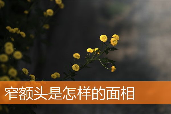 窄額頭是怎樣的面相