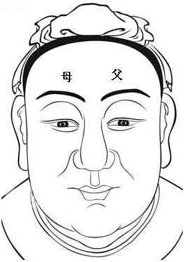 面相算命圖解：面相十二宮圖之父母宮