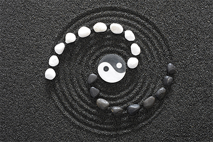 丙辰日柱男命精論，丙辰日柱男命特徵