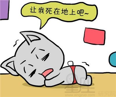 紫微斗數看婚姻：晚婚命夫妻宮有太陽、太陰星