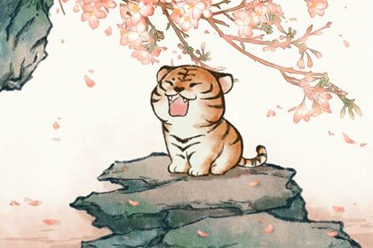 2022年出生的人是什麼命 金箔金命 水虎命