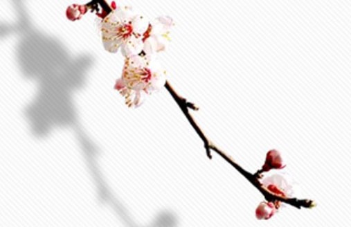 搬辦公室先搬什麼東西 鬧房增人氣漲好運