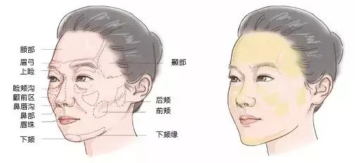 女人面相算命圖解大全高清圖解！