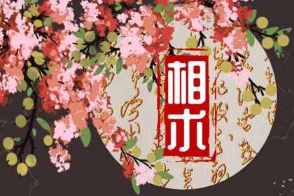 眉毛高低不一樣面相 解讀眉毛高低不一樣的面相