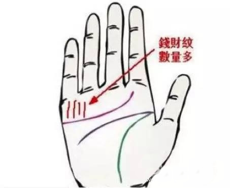 三條不愁沒錢花的手紋