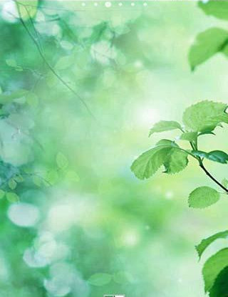 紫微斗數預測房屋環境的實例