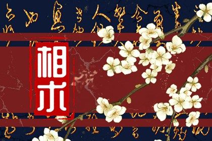 眼睛炯炯有神的人面相 面相眼睛看性格與命運