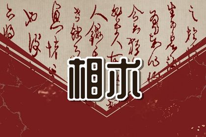 面相學下巴 下巴在面相里代表什麼