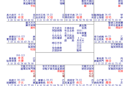 紫微斗數論情侶二人的命盤配對