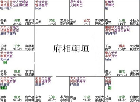 紫微斗數富貴格局——府相朝垣格