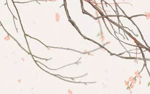 卧室放什麼花招財又招桃花運 蝴蝶蘭代表甜蜜戀情