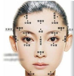 什麼面相的人婚姻幸福