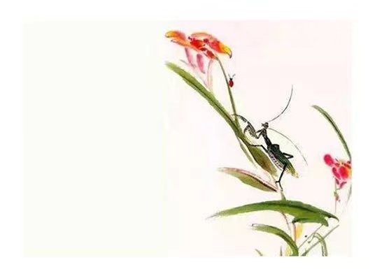 女命正財透干合日主 富貴榮華一生不愁
