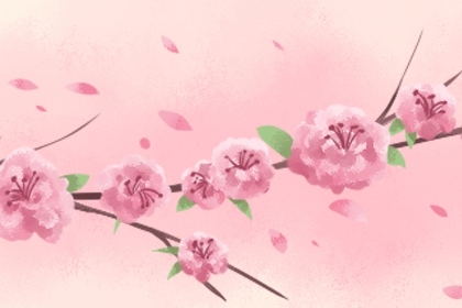 帶桃花的八字命理 命上助己八字桃花重