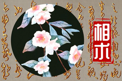 陰德重的人的面相 五官端正嘴唇豐厚