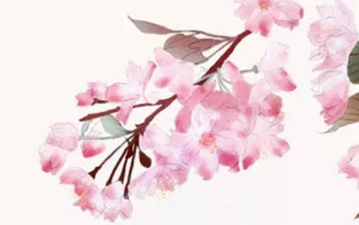 桃花的寓意和象徵風水 正西方位置易遇桃花