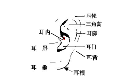 男人耳朵上長痣代表什麼 不同位置面相是怎樣的
