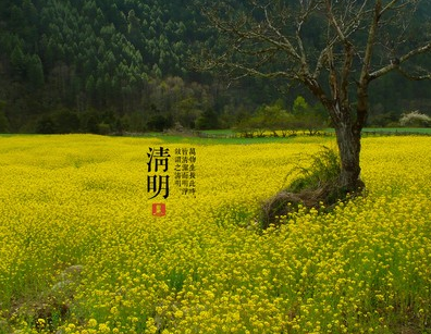 紫微主星清明祭祖的開運物