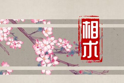 連心眉怎麼化解 連心眉面相究竟好不好