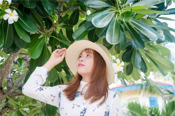 什麼面相的人知所進退