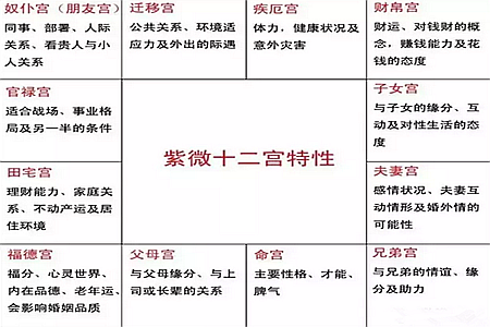 紫微斗數可以看到什麼？