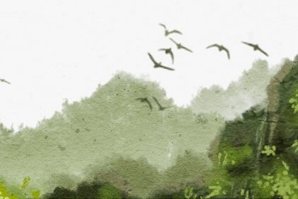 屬猴的命運一生怎麼樣 屬猴人的五行命運解析