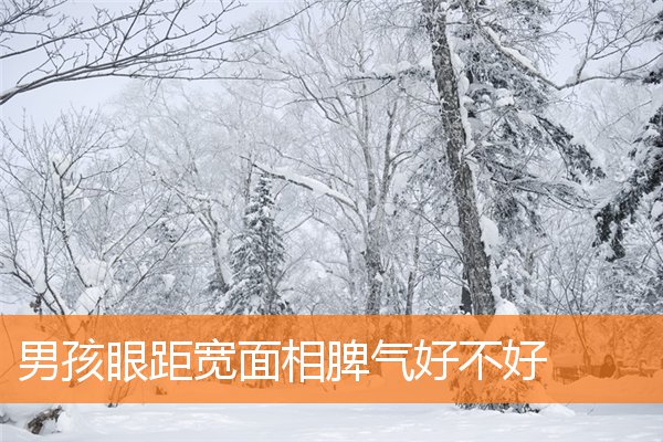 男孩眼距寬面相脾氣好不好