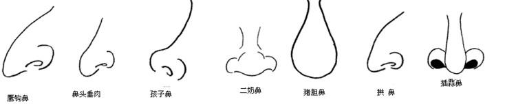 鼻子短的女人在面相學中有什麼說法，是不是好命的女人？