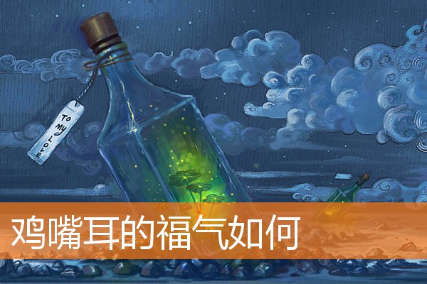 雞嘴耳的福氣如何