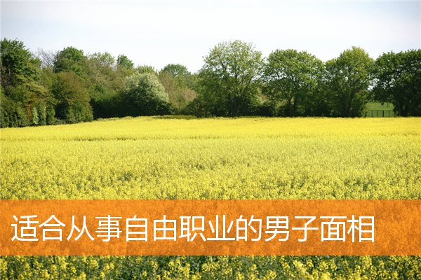 適合從事自由職業的男子面相