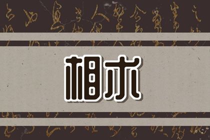 眉毛缺了一塊面相 眉毛缺一塊如何解析