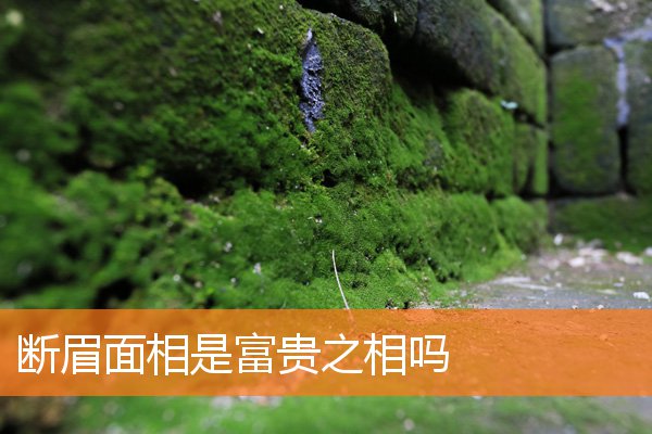 斷眉面相是富貴之相嗎