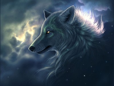 讓我們走進神秘的「殺破狼」