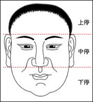 面相學入門：面相的三停指的是什麼