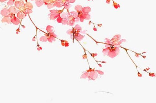 真正陰德紋面相圖片 什麼樣的面相具有陰德