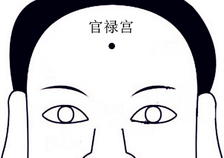 解析紫微十二宮之官祿宮
