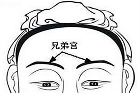 不同主星的兄弟宮命運