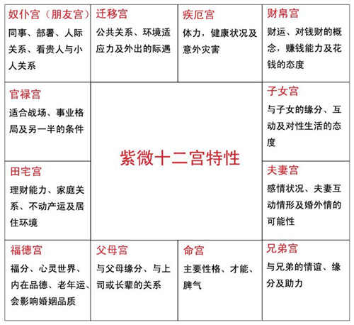 紫微斗數排盤怎麼看？