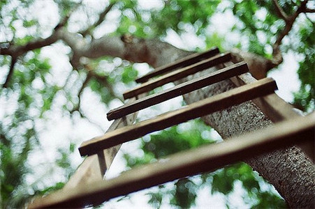 張盛舒一周健康運(10.30-11.5)