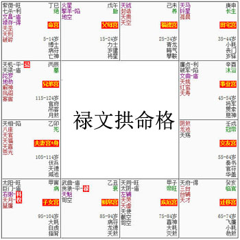 紫微斗數富貴格局——祿文拱命格