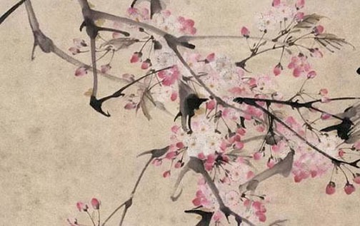 十個簸箕的女人命運婚姻 天生形象姣好