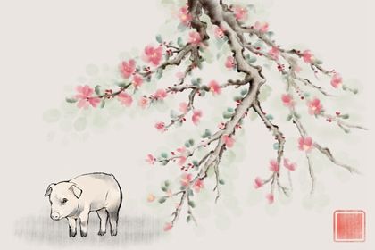 2023年是哪裡的水命 農歷幾月出生最好