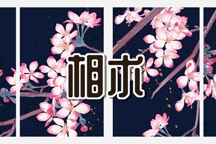 女生沒有財運的面相 鼻樑歪斜鼻孔朝天