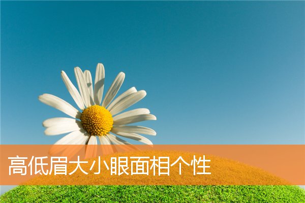 高低眉大小眼面相個性