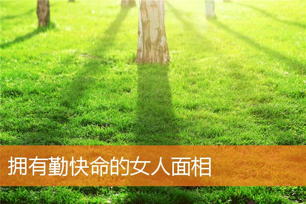 擁有勤快命的女人面相