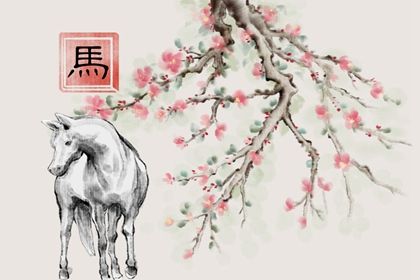 2023年兔年命咋樣 屬兔最苦的是在什麼年齡